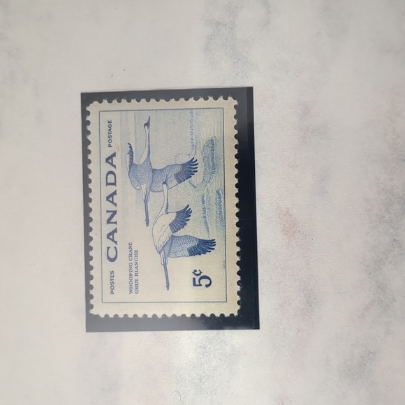 Endangered Birds Stamp Collection Sheet - Picture 6 of 8